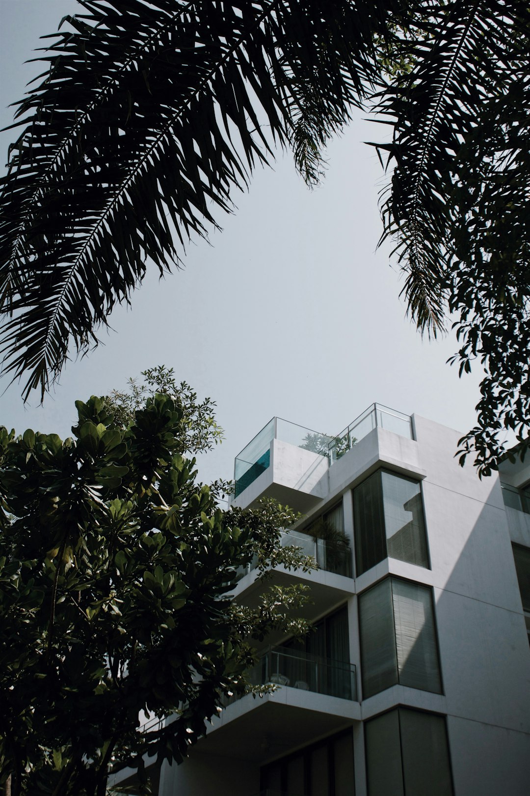 Urban Loft Complex