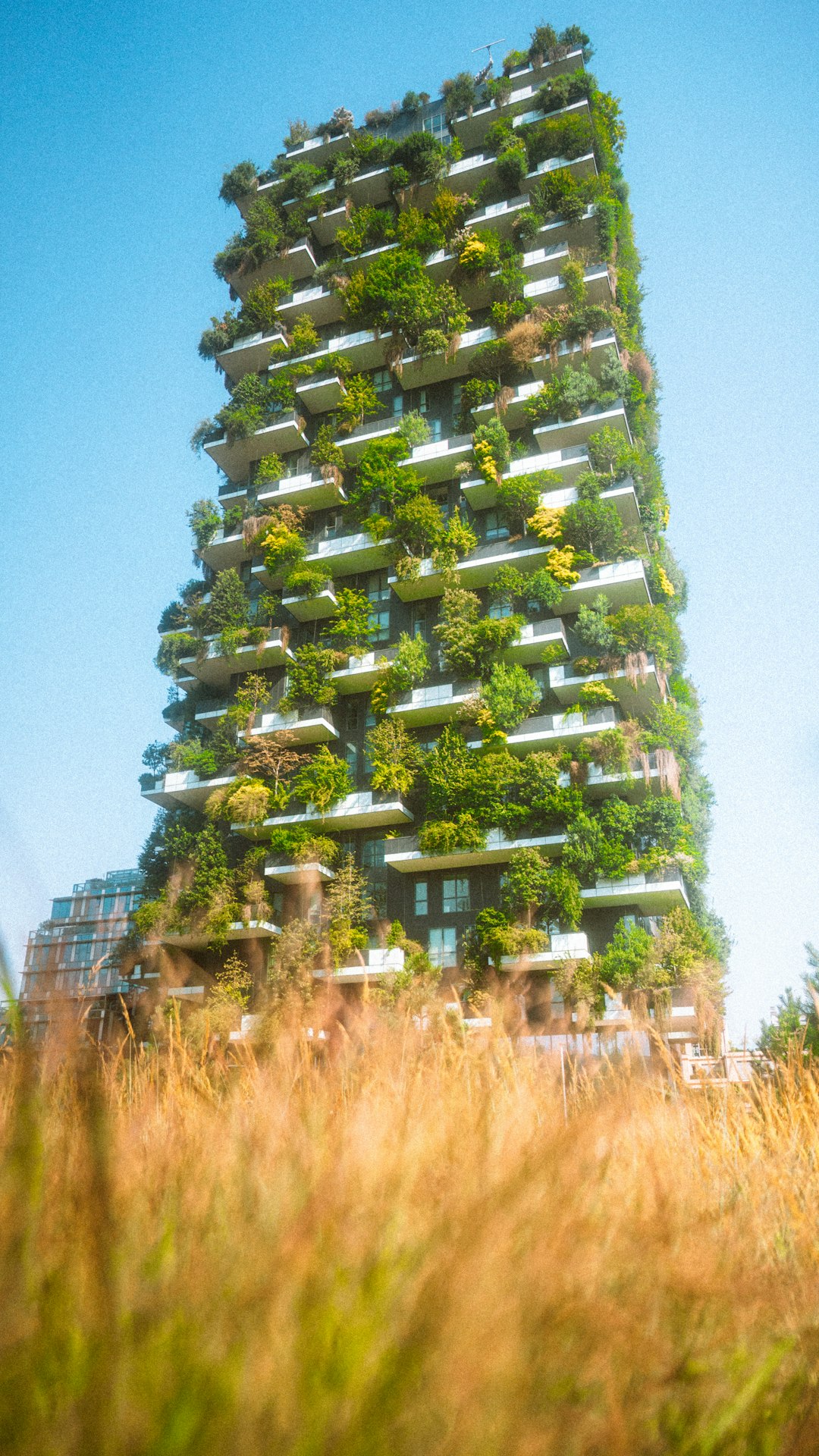 Eco-Friendly Residence