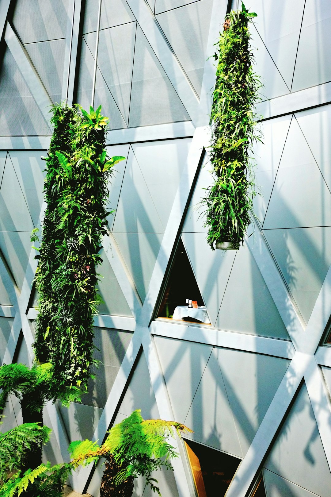 Sustainable House Design